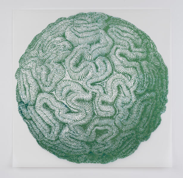 Celestial Body-ody-ody series, Brain Coral Halo Blue, 2023