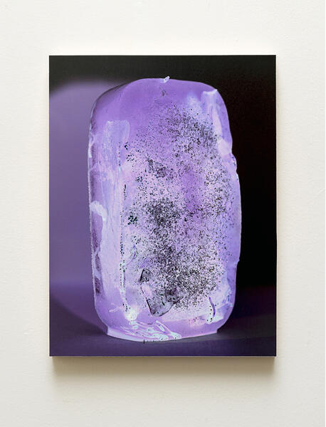 Inside The Minds Of The Dead VI, 2014 - 2015