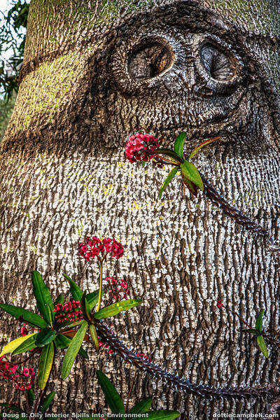Doug's Oily Interior