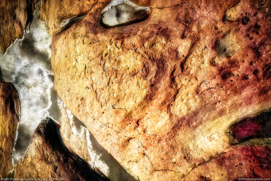 Kash Speaks FBI Lies