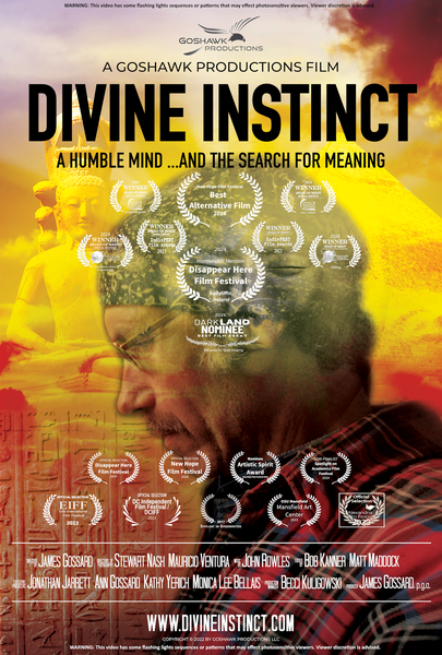 Divine Instinct Poster