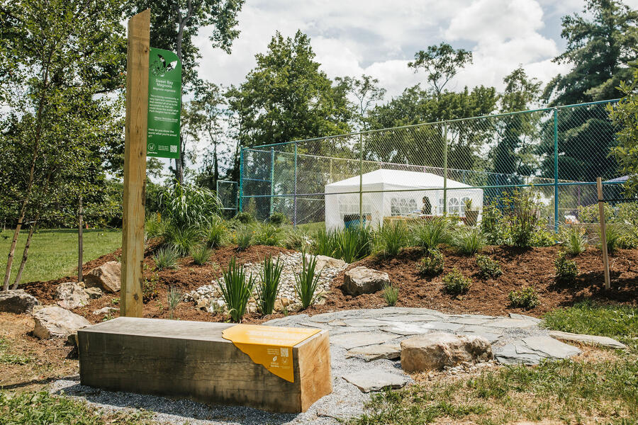 Edgecombe Park Revitalization