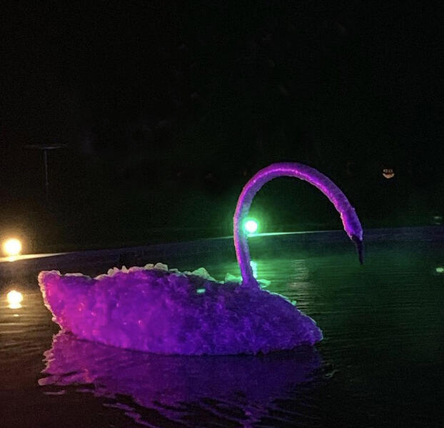 Here in the Hereafter we Frolic