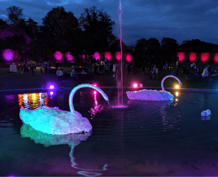 Here in the Herafter we Frolic