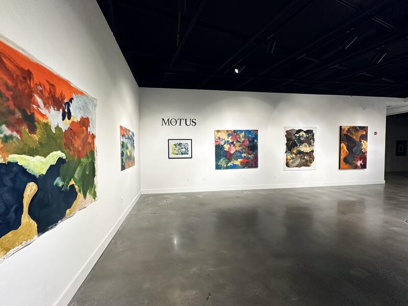 MOTUS - Gallery Image