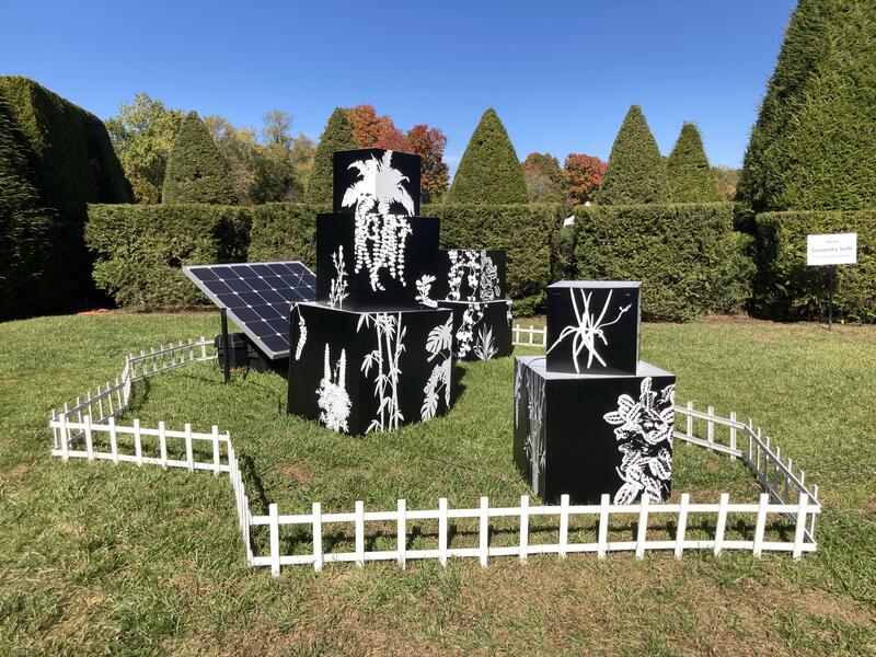  Uncontainable Garden