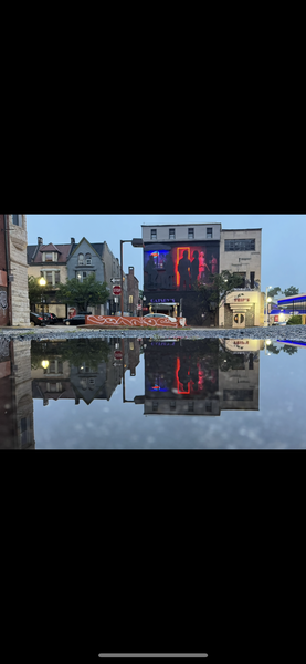 AURORA (with reflection)