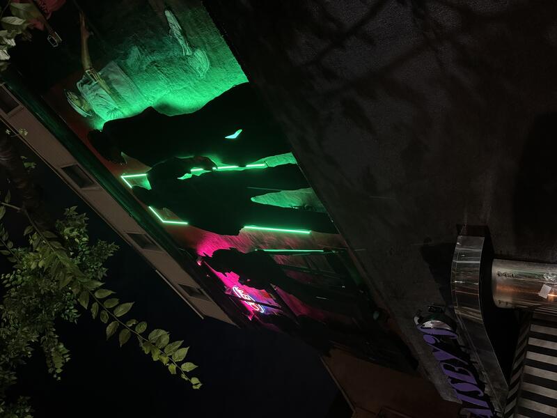 Aurora (night detail)