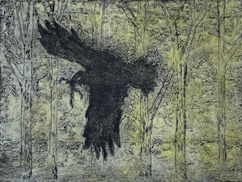 Nesting Crow (1).jpeg