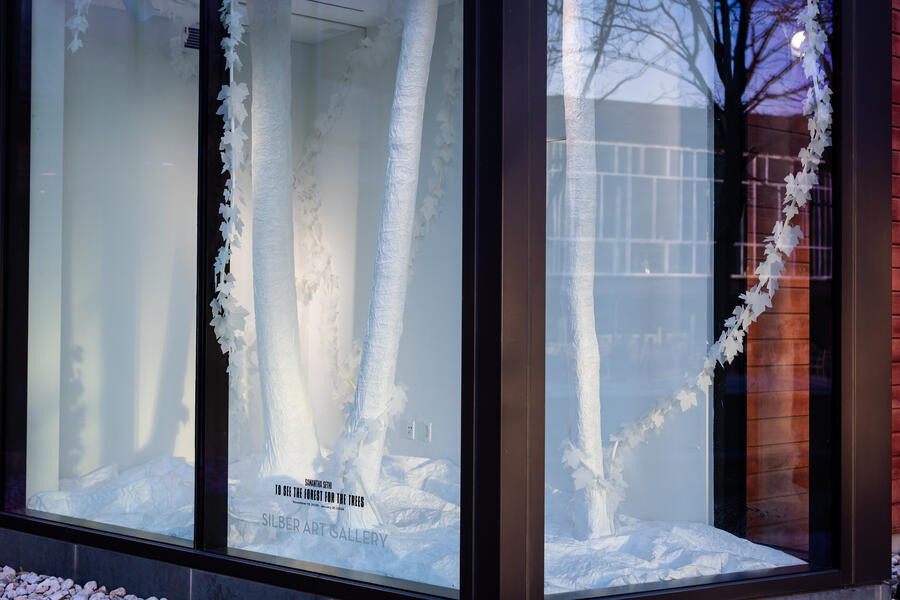 To See the Forest for the Trees 