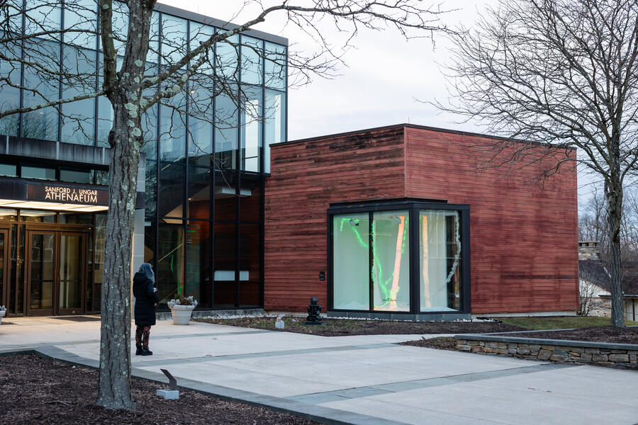 To See the Forest for the Trees 