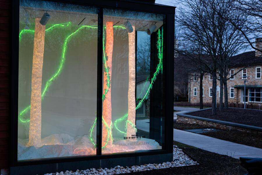 To See the Forest for the Trees 