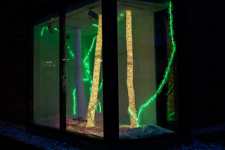 To See the Forest for the Trees 