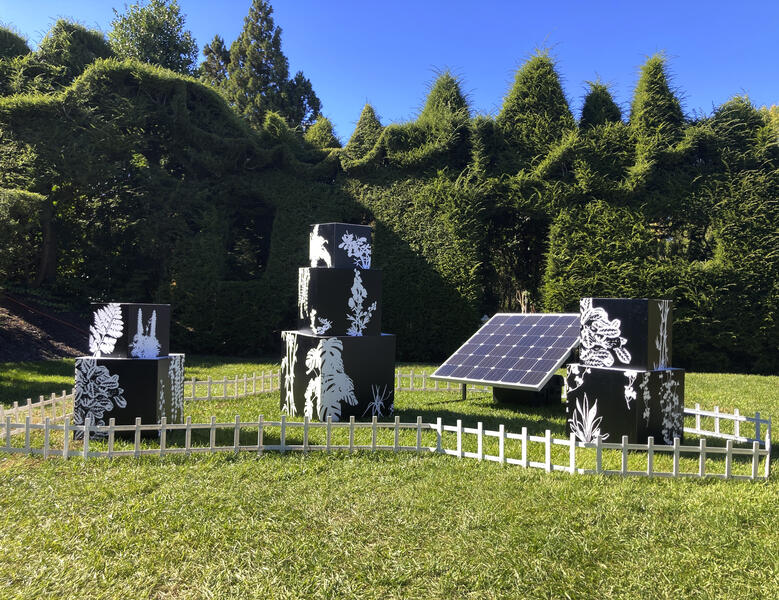  Uncontainable Garden