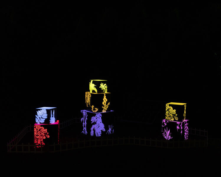  Uncontainable Garden