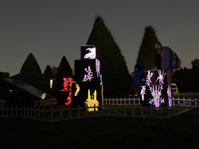  Uncontainable Garden