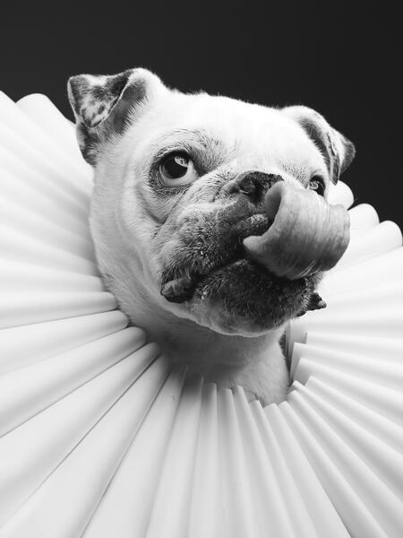 Beans in Ruffs (outtake) 