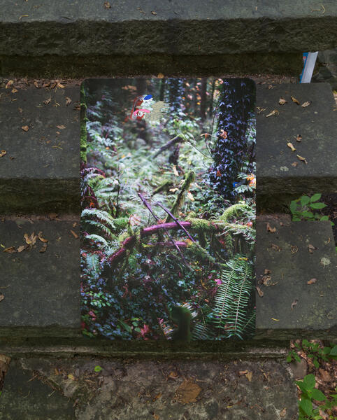   We Are All Stool Makers, 2016 - 2017