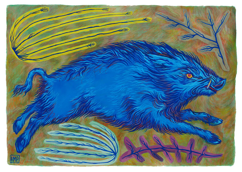 Blue Boar