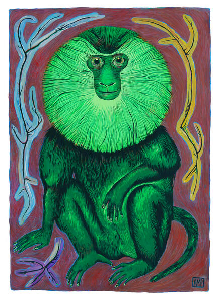 Green Monkey