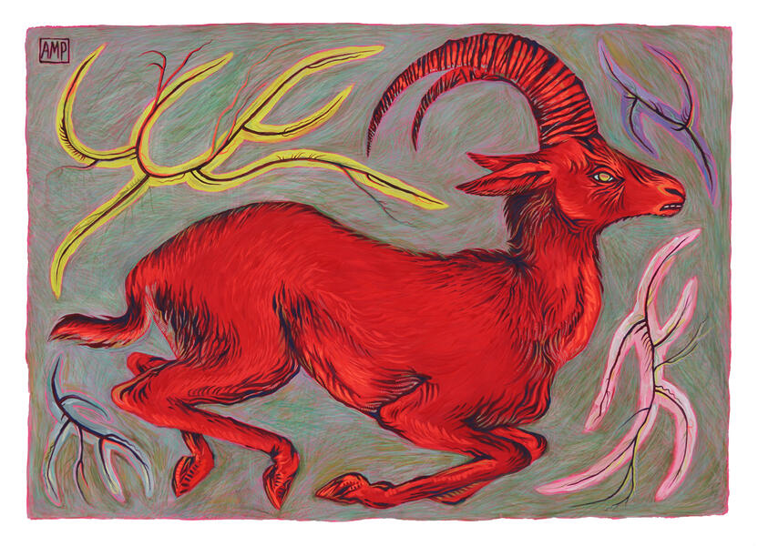 Red Ram