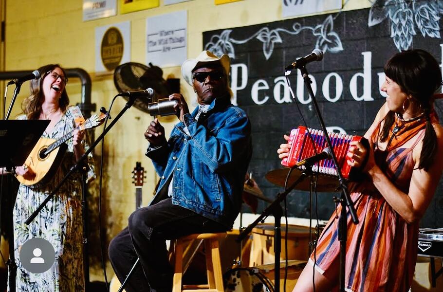 Mr. Andrew & The Double Stops