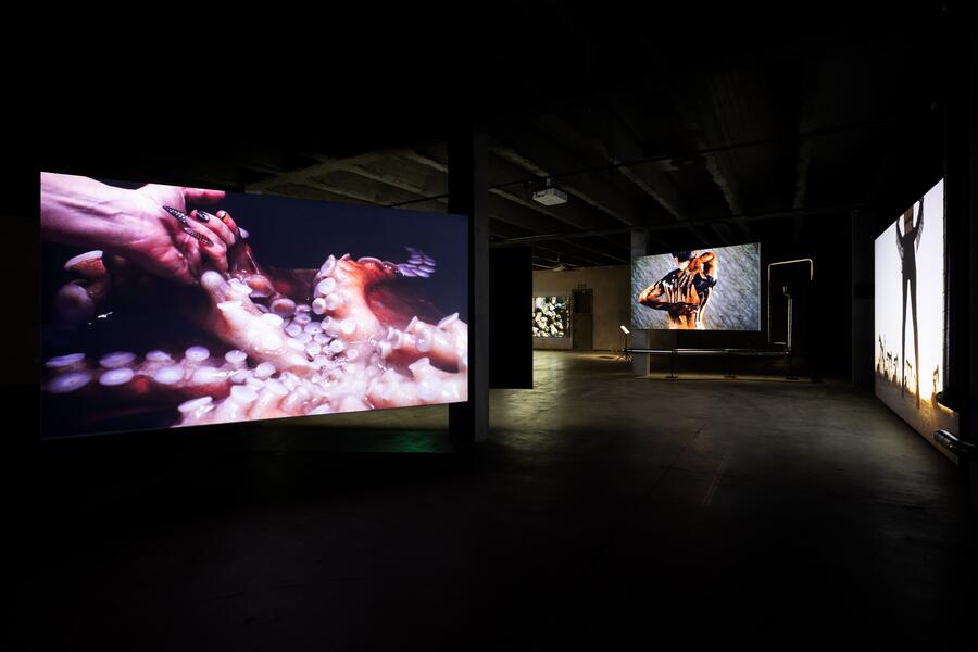 Ecological Curation Exhibit C: Breath Kins soundscore composed by Shodekeh for Jessica Seagall's Oddkin @ The Kalevan Navetta Arts Center in Seinäjoki, Finland. January 24th - May 23rd, 2026.