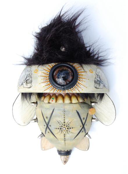 Fungi Death Fly