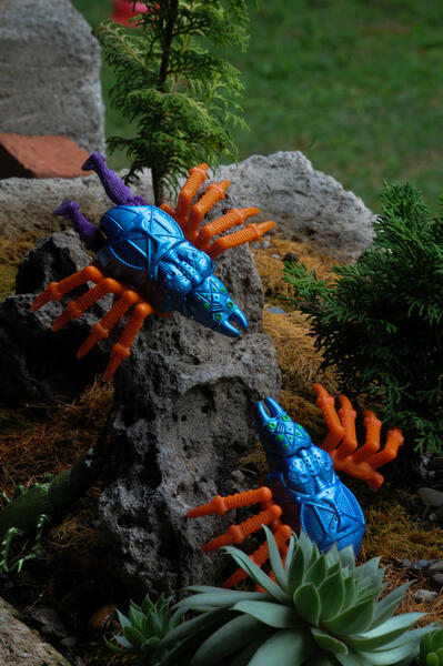 Fauna 18