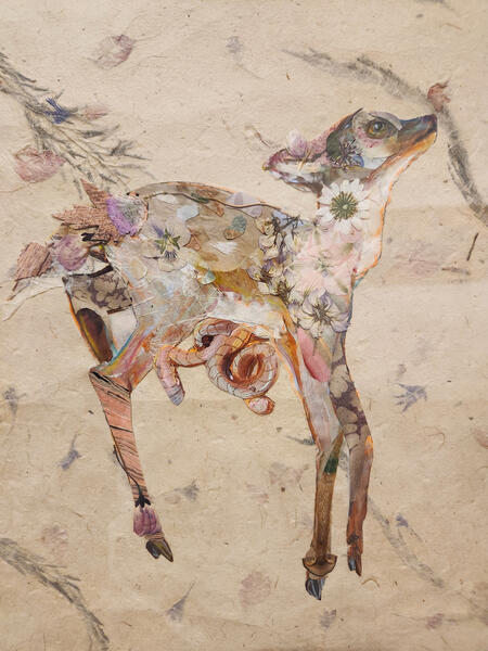 Fawn, Roadkill 