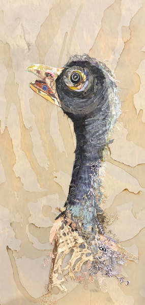 Goosey Loosey