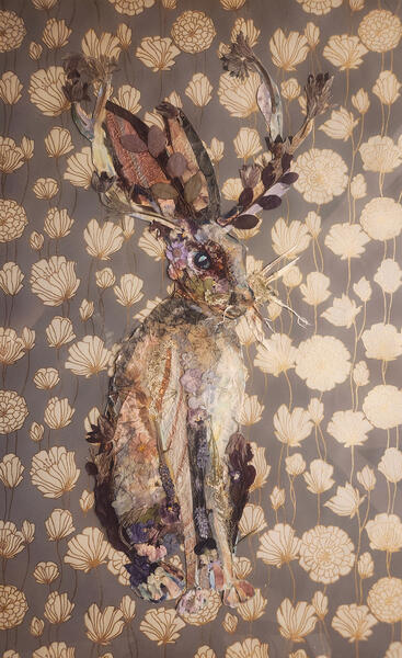 Jackalope