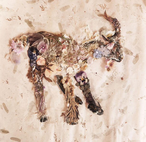 Unicorn III 