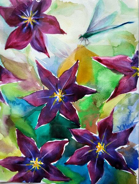 Clematis and Damselfly 
