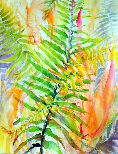Understory 