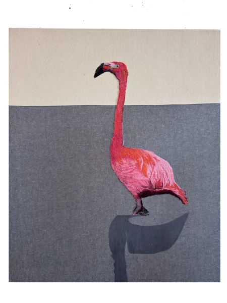 Abandoned American Flamingo 