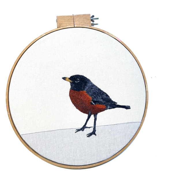 Abandoned American Robin 