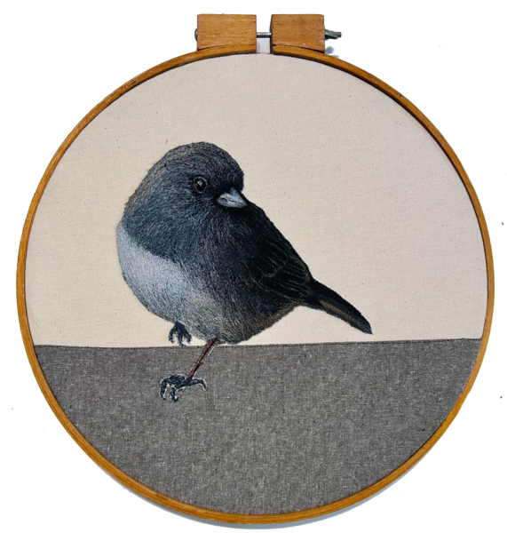 Abandoned Dark-Eyed Junco, 2026
