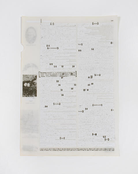 Redacted Daydream III