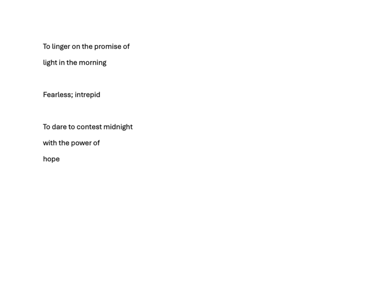 Redacted Daydream I (translation)