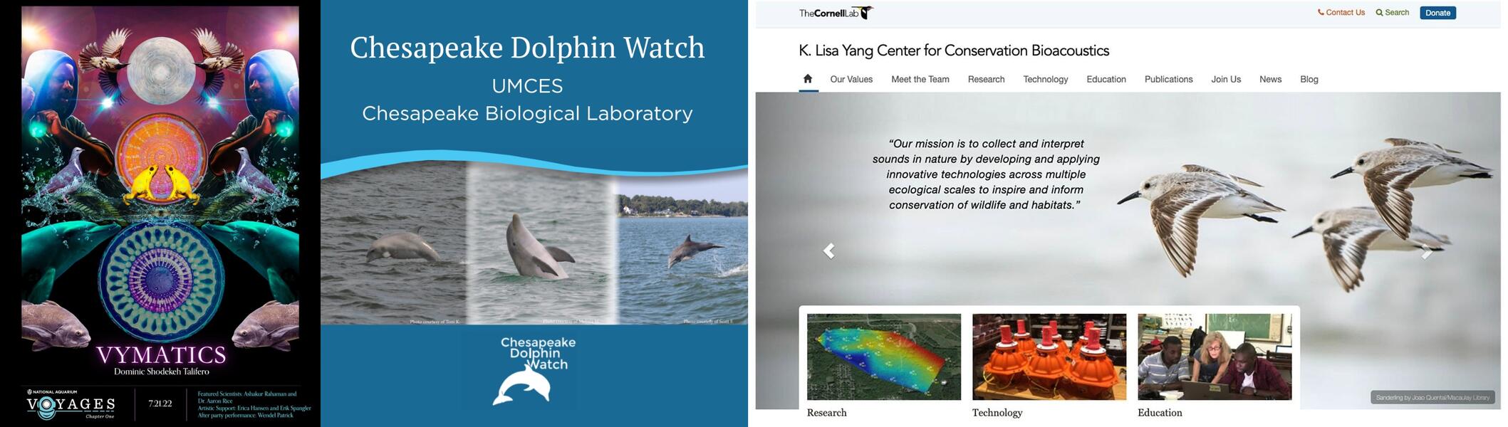 Biocymatic Frequency II (Ecological Bioacoustics): Shodekeh's narration / science communication interviews with the Cornell K. Lisa Yang Center for Conservation Bioacoustics & Dolphin Watch @ UMD for Voyages: Chapter 1 @ The National Aquarium, 2022.