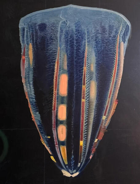 Comb Jelly
