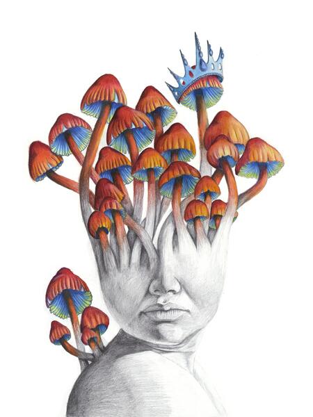 Mushroom Medusa