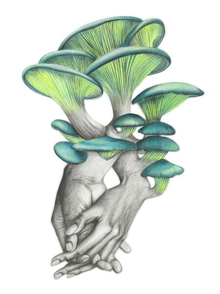 Love & Decay