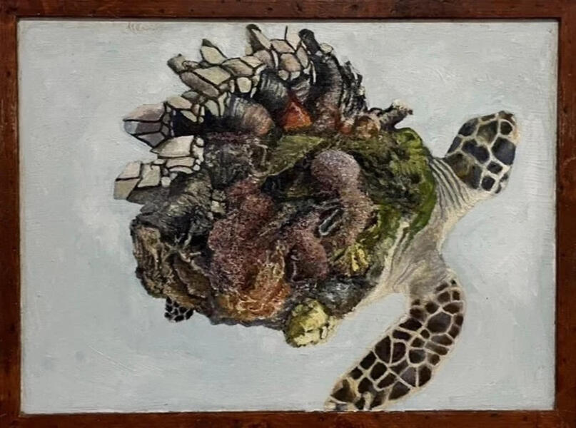 Barnacled Turtle