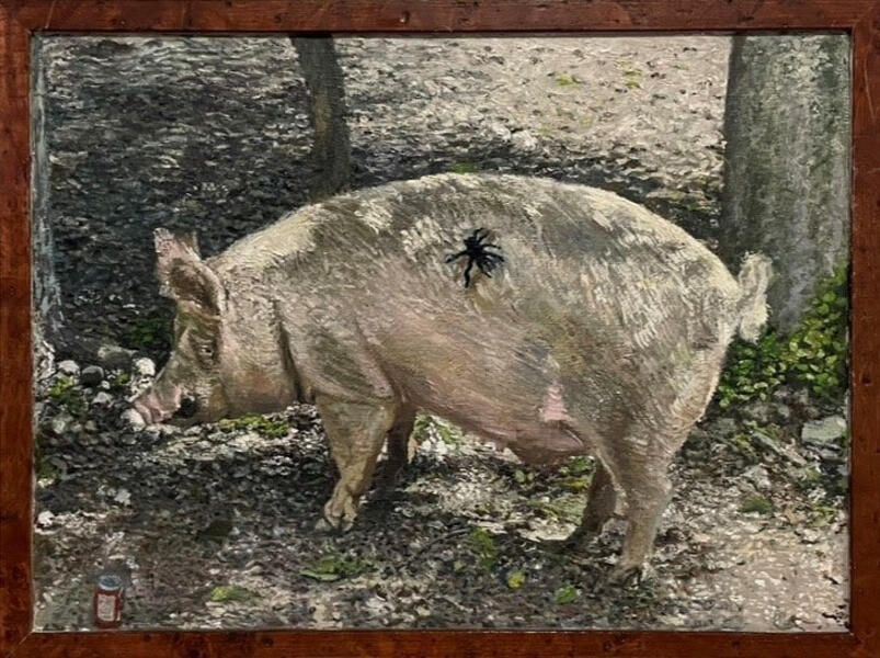 Tarantula and Pig
