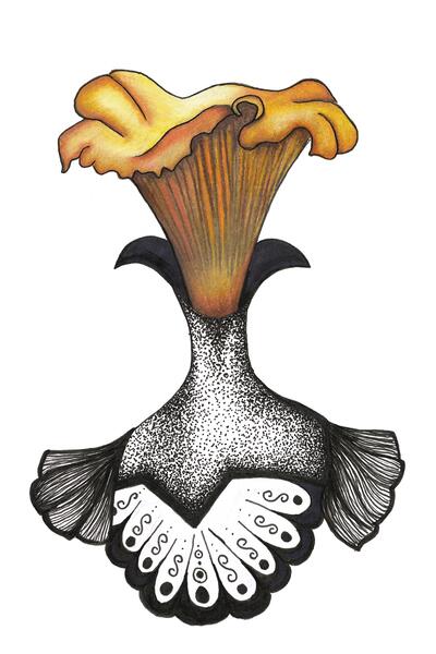 Ms. Chanterelle