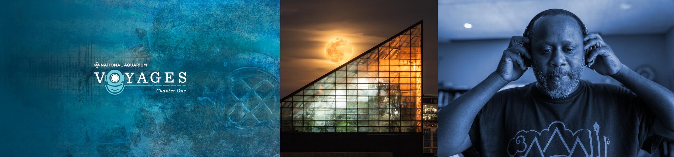 Biocymatic Frequency I (General Bioacoustics & Astro-Bioacoustics): Science + Art Reintegration & Advanced Artist Residencies for Voyages: Chapter I featuring Shodekeh @ The National Aquarium, 2022.