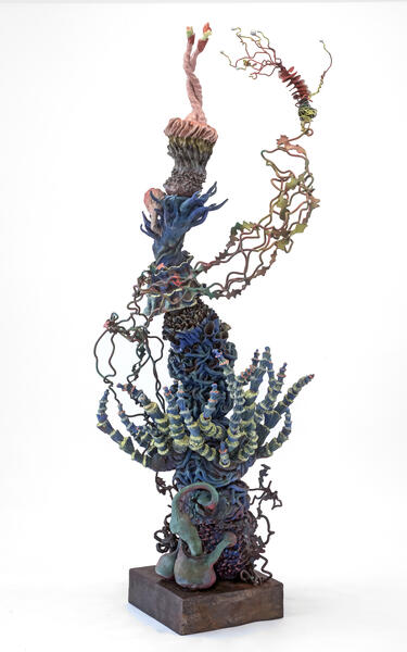 Symbiosis  2026