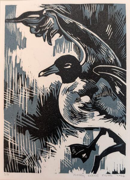 Gull